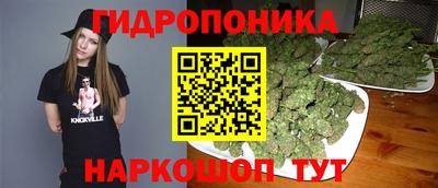 метамфетамин Камышлов