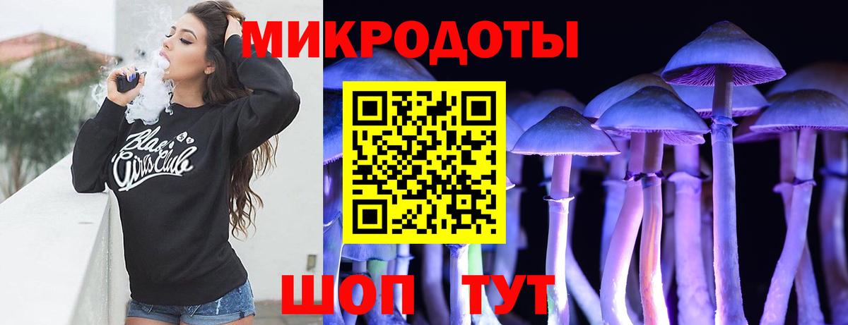 Псилоцибиновые грибы прущие грибы Дзержинский